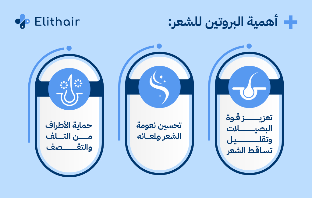 أهمية البروتين للشعر